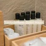Trinitadeimonti 게스트하우스 4*